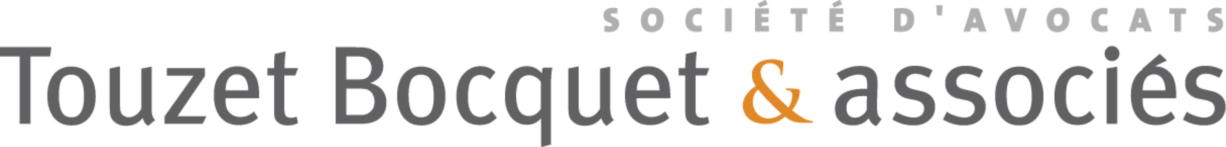 logo touzet_2013