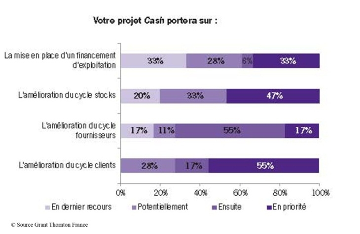 grant thornton etude cash management 3