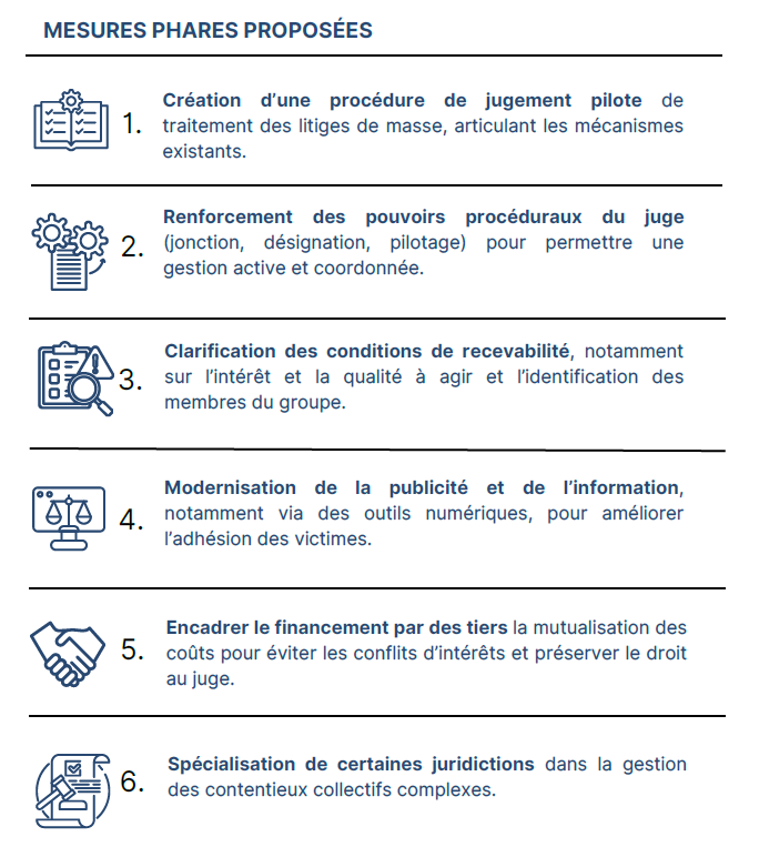 rapportlitigesseriels mesuresphares