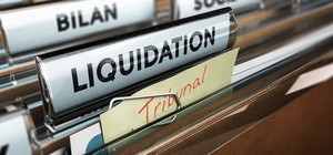Entreprises en difficulté & Restructuring
